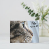 Carte Postale Sortez-moi ! Cat Kitten Saint-Valentin (Debout devant)