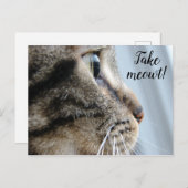 Carte Postale Sortez-moi ! Cat Kitten Saint-Valentin (Devant / Derrière)