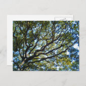 Carte postale Sortie (Devant / Derrière)