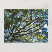 Carte postale Sortie (Devant)