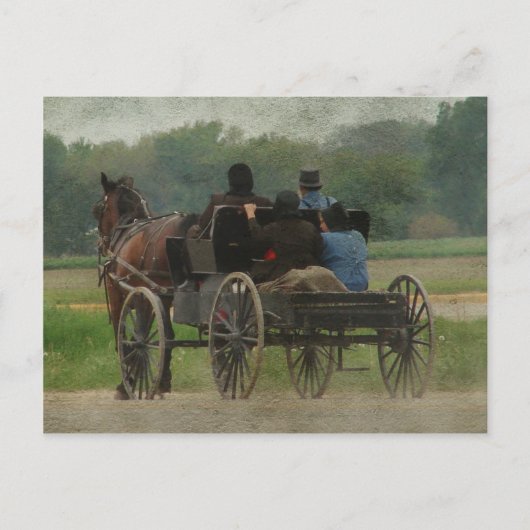 Carte Postale Sortie de famille Amish (Devant)