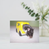 Carte Postale sortie d'urgence Noah (Debout devant)