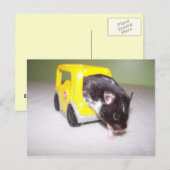 Carte Postale sortie d'urgence Noah (Devant / Derrière)