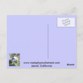 Carte Postale Sortie Jamul (Dos)