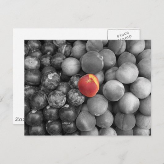 Carte Postale Sortie unique (Devant / Derrière)