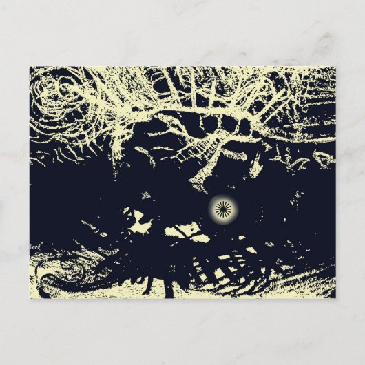 Carte Postale Sortir du soleil (Devant)