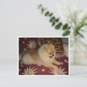 Carte Postale Sosseu (Debout devant)