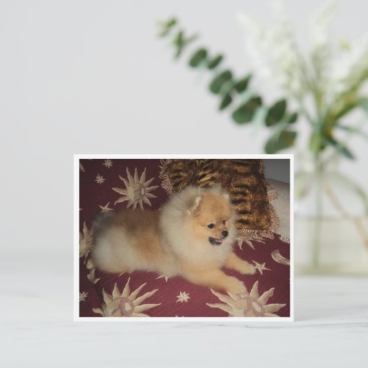 Carte Postale Sosseu (Debout devant)