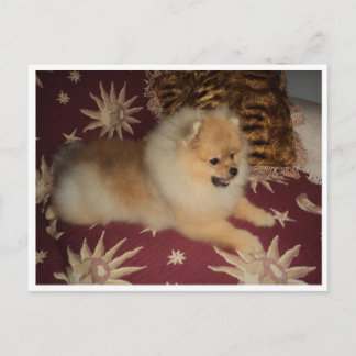 Carte Postale Sosseu