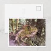 Carte Postale Souche d'arbre (Devant / Derrière)