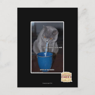 Carte Postale Souffle des bulles dans notre lait