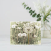 Carte Postale Souffler dans la simplicité (Debout devant)