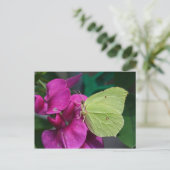 Carte Postale Soufrière (Debout devant)