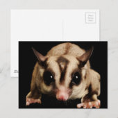 Carte Postale Sougar Glider (Devant / Derrière)