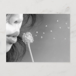 Carte Postale Souhait