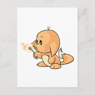 Carte Postale Souhait de Kacheek orange