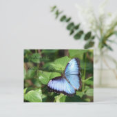 Carte Postale Souhaitez-vous le meilleur jour jamais ! (Debout devant)