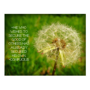 Cartes Postales Citation De Gentillesse Originales Zazzle Be