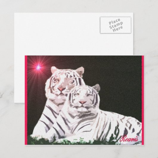 CARTE POSTALE SOUL MATES (Devant / Derrière)