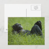 Carte Postale Soulagement du stress (Devant / Derrière)