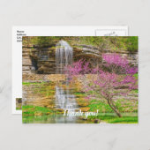 Carte Postale Source de la Cascade des Ozarks à Bluff (Devant / Derrière)