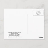 Carte postale Source de la rivière Mississippi (Dos)