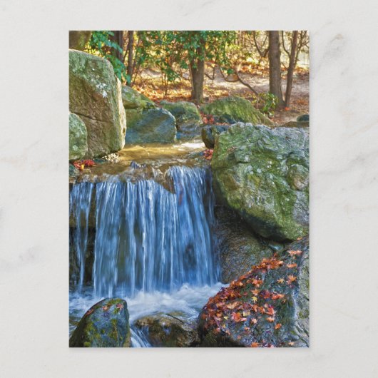 Carte Postale Source d'eau bleue (Devant)