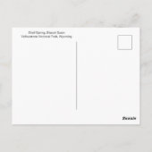 Carte Postale Source Shell à Yellowstone National Park, Wyoming (Dos)