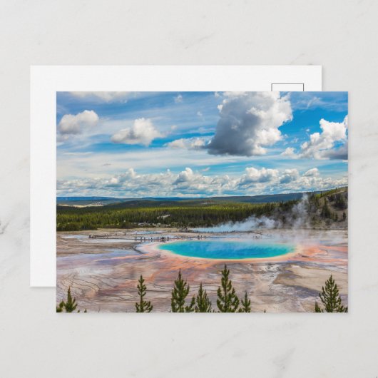 Carte Postale Sources chaudes du Parc national de Yellowstone (Devant / Derrière)