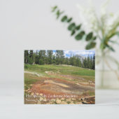 Carte Postale Sources chaudes en Tuolumne Meadows, Yosemite, CA  (Debout devant)
