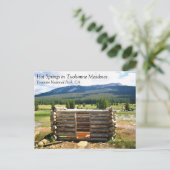 Carte Postale Sources chaudes en Tuolumne Meadows, Yosemite, CA  (Debout devant)