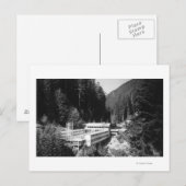 Carte Postale Sources d'eau chaude olympiques, WA Lodge Voir la  (Devant / Derrière)