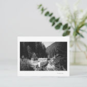 Carte Postale Sources d'eau chaude olympiques, WA Lodge Voir la  (Debout devant)