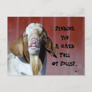 Carte Postale Souriez...