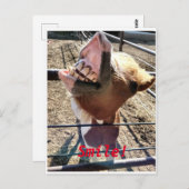 Carte Postale Souriez ! ! (Devant / Derrière)