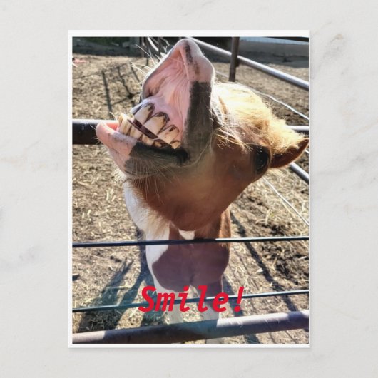 Carte Postale Souriez ! ! (Devant)