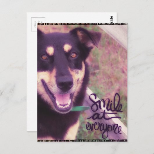 Carte Postale Souriez à tout le monde chien (Devant / Derrière)