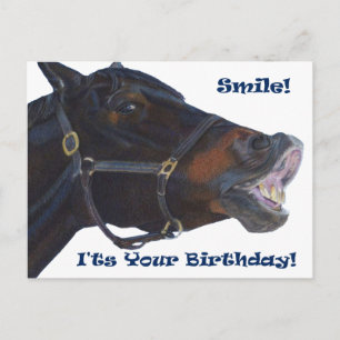 Carte Postale Souriez ! C'est ton anniversaire ! Cheval