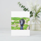 Carte Postale Sourire (Debout devant)