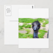 Carte Postale Sourire (Devant / Derrière)