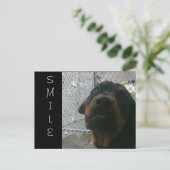 CARTE POSTALE SOURIRE (Debout devant)