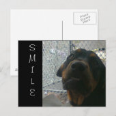 CARTE POSTALE SOURIRE (Devant / Derrière)