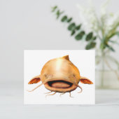 Carte Postale Sourire de pêche (Debout devant)