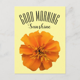 Carte Postale Sourire de Tagète Orange Bonjour Soleil