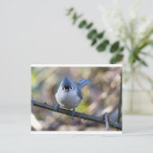 Carte Postale souris (Debout devant)