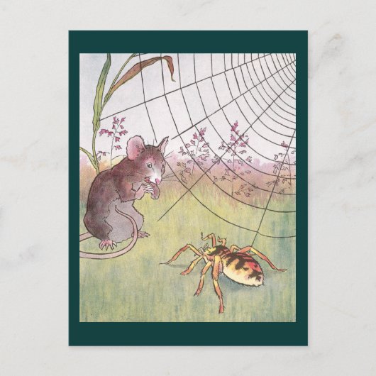Carte Postale Souris, araignée et Web dans la prairie (Devant)