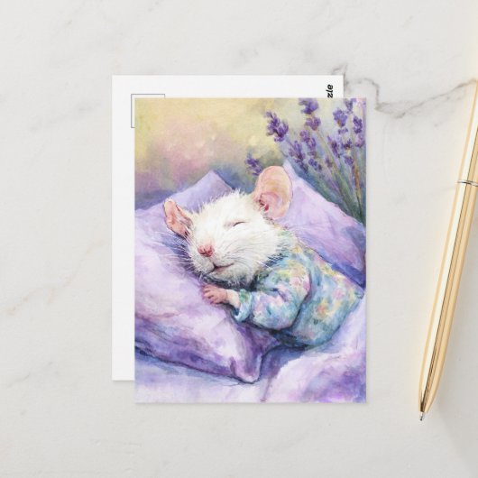 Carte Postale Souris blanche dormant (Devant/Arrière en situation)