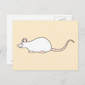 Carte Postale Souris blanche pour animaux domestiques. (Devant / Derrière)