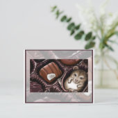 Carte Postale Souris dans la boîte à chocolat (Debout devant)