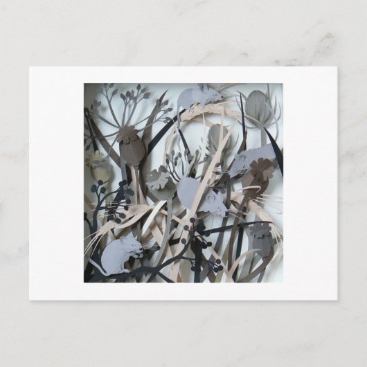 Carte Postale souris de champ (Devant)